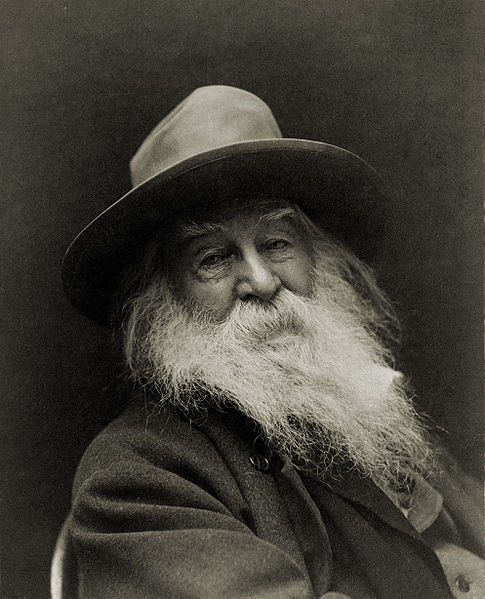 “A Noiseless Patient Spider” by Walt&nbsp;Whitman
